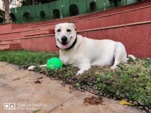 IMG-20220909-WA0007